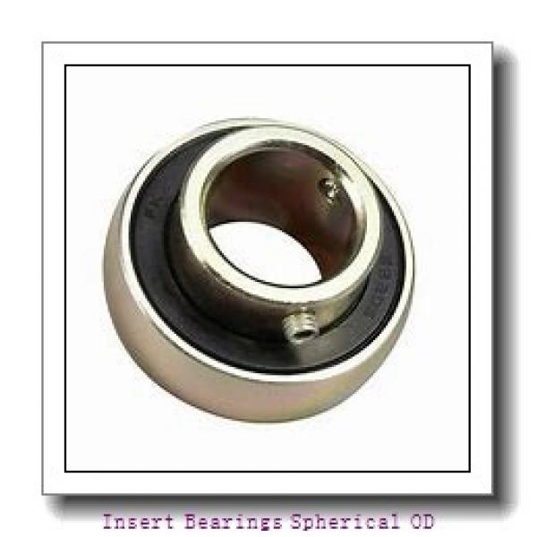 DODGE INS-DL-100  Insert Bearings Spherical OD #1 image