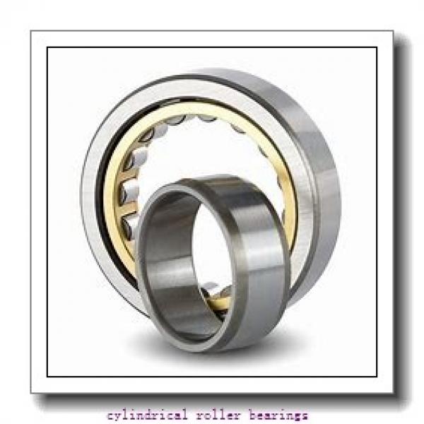 1.378 Inch | 35 Millimeter x 3.15 Inch | 80 Millimeter x 0.827 Inch | 21 Millimeter  LINK BELT MA1307EXC1020  Cylindrical Roller Bearings #2 image