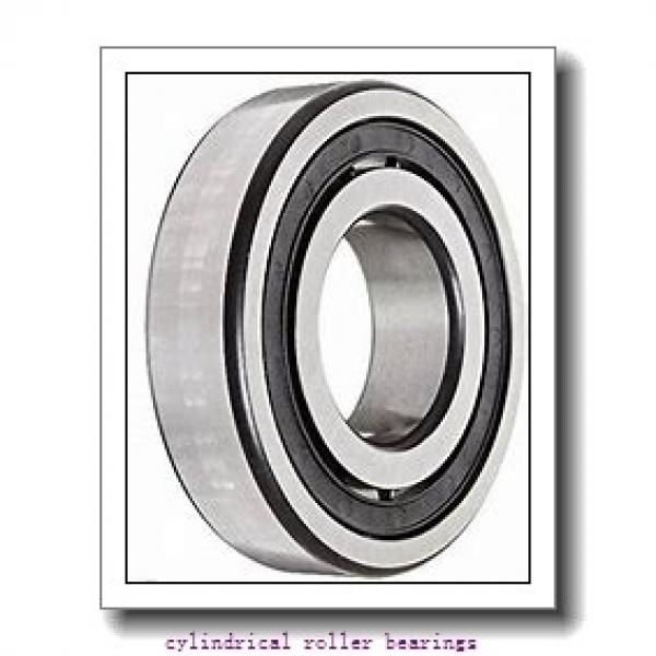 0.984 Inch | 25 Millimeter x 2.441 Inch | 62 Millimeter x 0.669 Inch | 17 Millimeter  LINK BELT MA1305EX  Cylindrical Roller Bearings #2 image