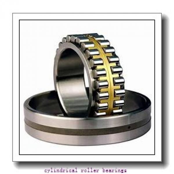 2.362 Inch | 60 Millimeter x 4.331 Inch | 110 Millimeter x 0.866 Inch | 22 Millimeter  LINK BELT MA1212EX  Cylindrical Roller Bearings #1 image