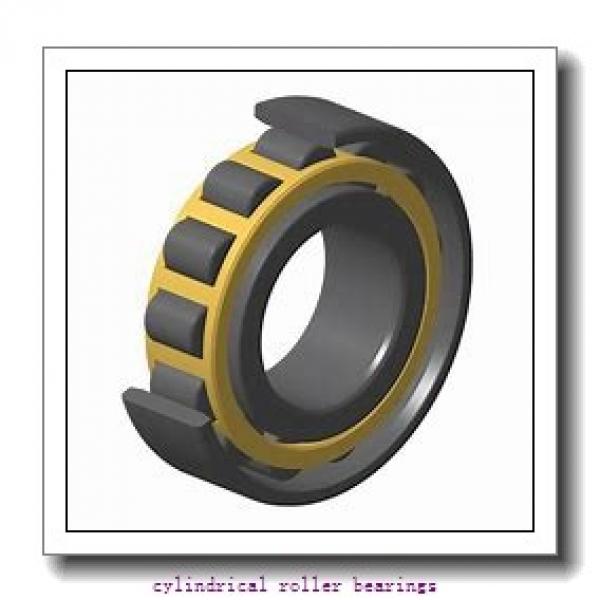 1.378 Inch | 35 Millimeter x 3.15 Inch | 80 Millimeter x 0.827 Inch | 21 Millimeter  LINK BELT MA1307EXC1020  Cylindrical Roller Bearings #1 image