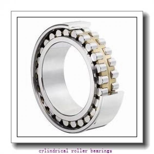1.575 Inch | 40 Millimeter x 3.543 Inch | 90 Millimeter x 0.906 Inch | 23 Millimeter  LINK BELT MA1308EXC4M  Cylindrical Roller Bearings #1 image
