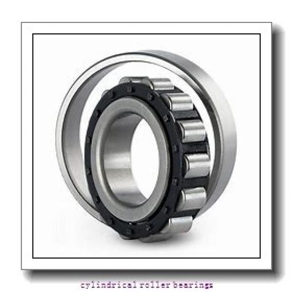 1.575 Inch | 40 Millimeter x 3.15 Inch | 80 Millimeter x 0.709 Inch | 18 Millimeter  LINK BELT MR1208UV  Cylindrical Roller Bearings #1 image