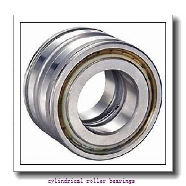 1.575 Inch | 40 Millimeter x 2.059 Inch | 52.299 Millimeter x 0.906 Inch | 23 Millimeter  LINK BELT MA1308  Cylindrical Roller Bearings #1 image