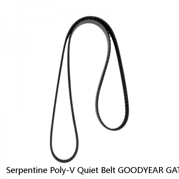 Serpentine Poly-V Quiet Belt GOODYEAR GATORBACK 4040560  #1 image