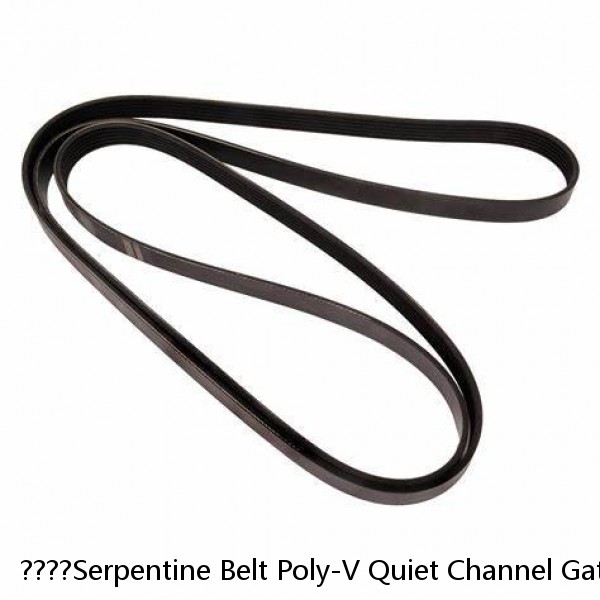 ????Serpentine Belt Poly-V Quiet Channel Gatorback CONTINENTAL ELITE 4070873???? #1 image