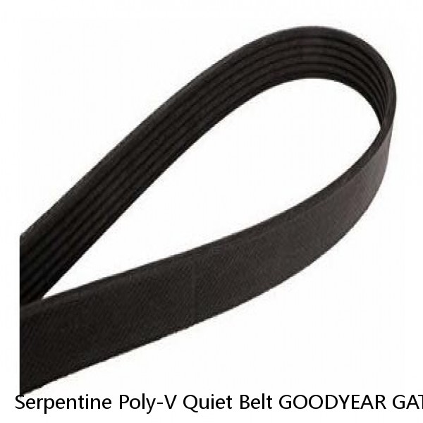Serpentine Poly-V Quiet Belt GOODYEAR GATORBACK 4040528 #1 image
