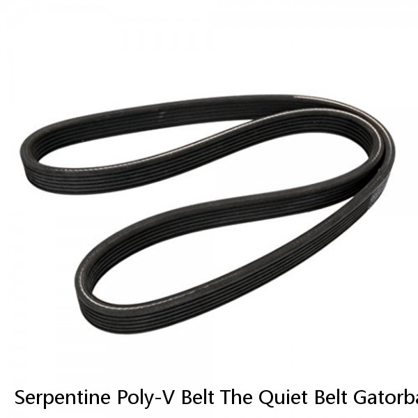 Serpentine Poly-V Belt The Quiet Belt Gatorback CONTINENTAL ELITE 4080580 #1 image