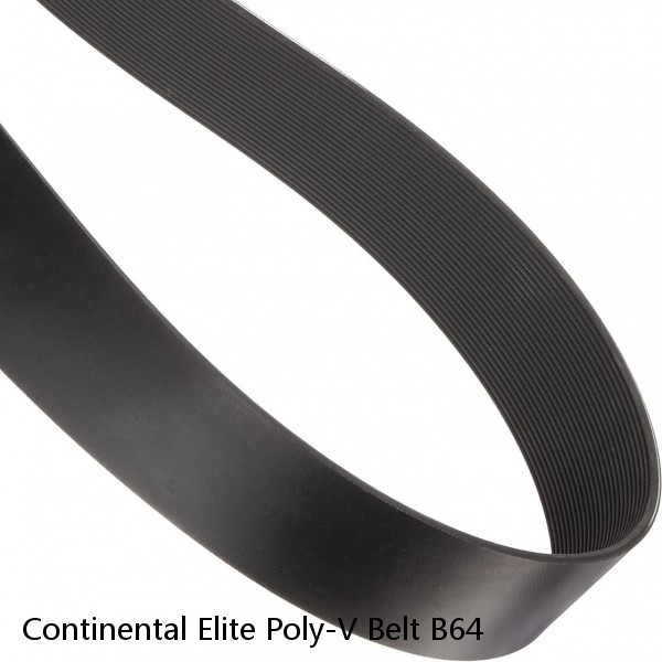 Continental Elite Poly-V Belt B64 #1 image